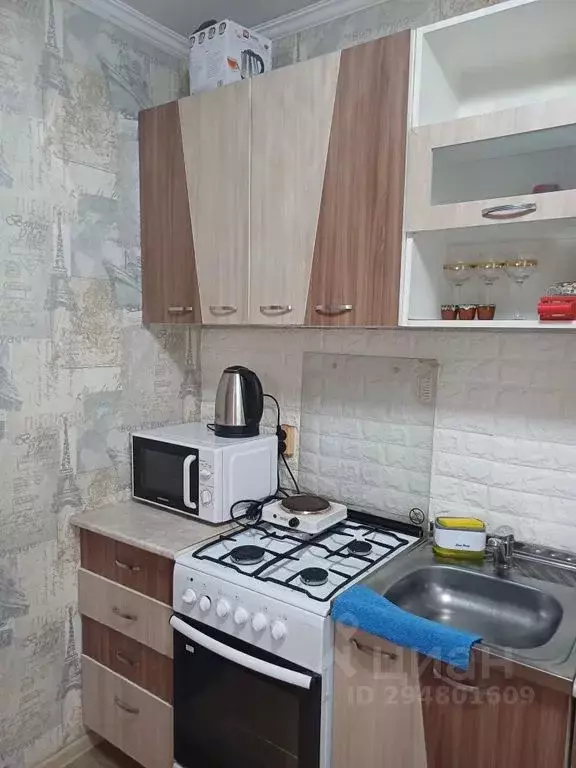 Дом в Алтай, Чемальский район, с. Чемал Зеленая ул., 31 (40 м) - Фото 1