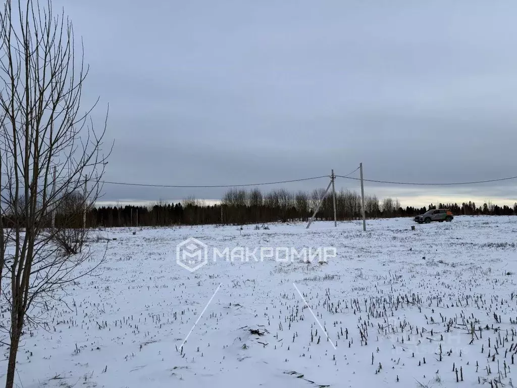Участок в Ленинградская область, Ломоносовский район, Гостилицкое ... - Фото 1