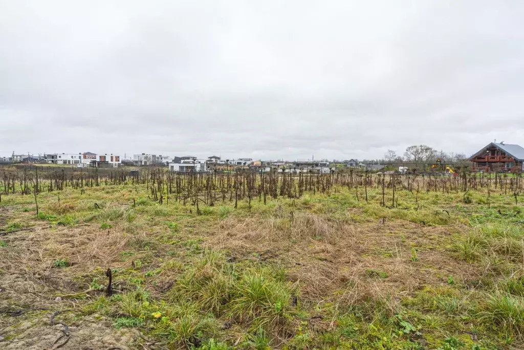 Участок в Ленинградская область, Тосненский район, Федоровское ... - Фото 2