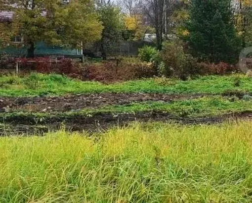 Участок в Ярославская область, Ярославский муниципальный округ, пос. ... - Фото 1
