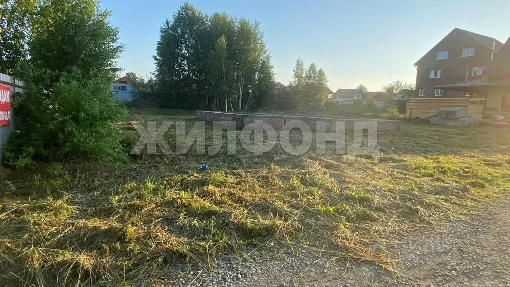 Участок в Новосибирская область, Новосибирский район, Каменский ... - Фото 1