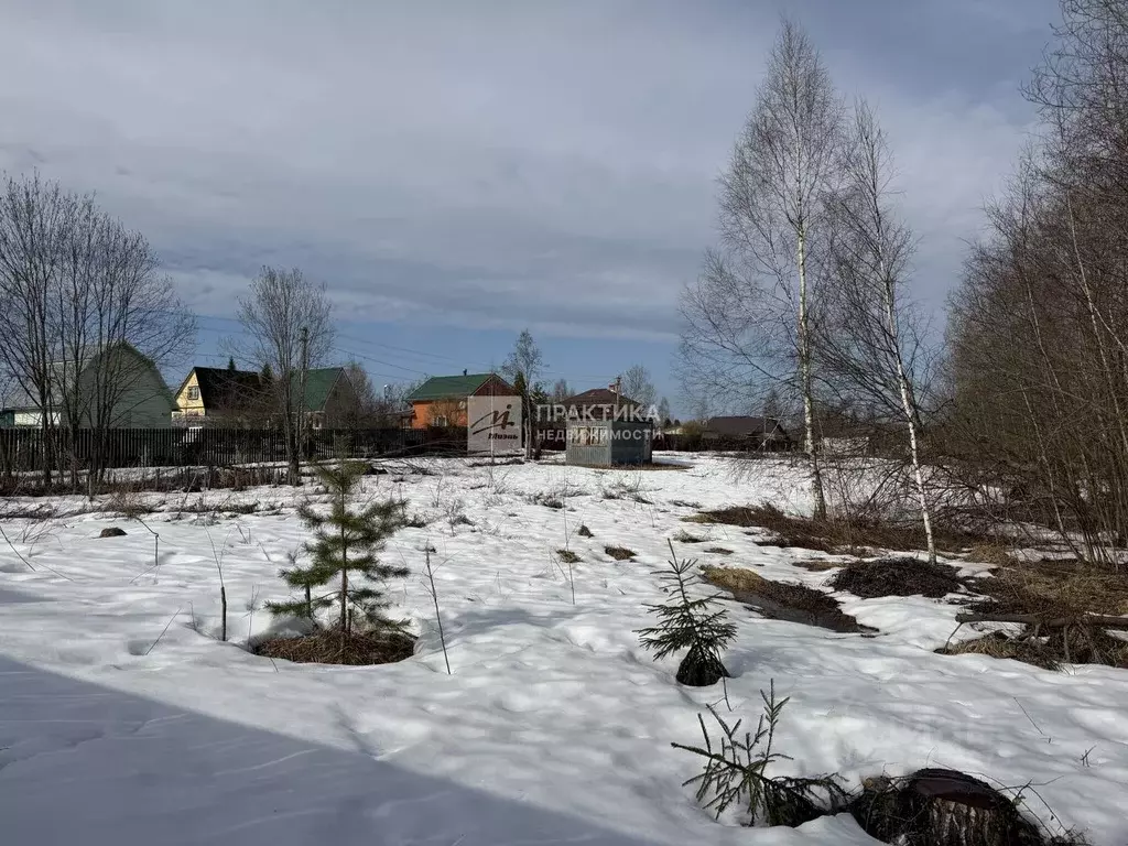 Участок в Московская область, Дмитровский муниципальный округ, Ащерино ... - Фото 2