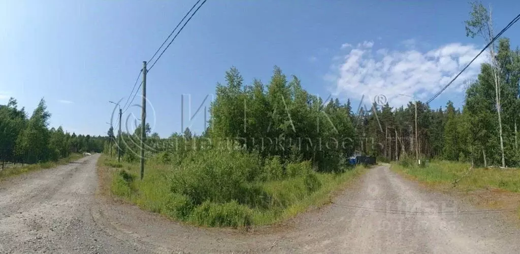 Участок в Ленинградская область, Приозерский район, Ларионовское ... - Фото 1