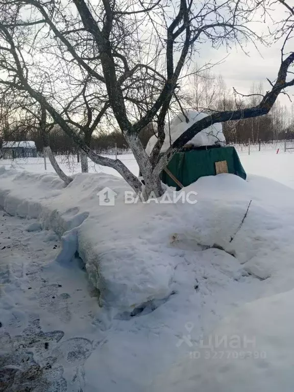 Дом в Владимирская область, Собинский муниципальный округ, Строитель ... - Фото 1