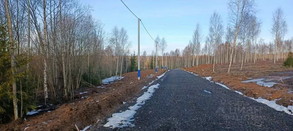 Участок в Московская область, Клин городской округ, Малахитовые дачи ... - Фото 1