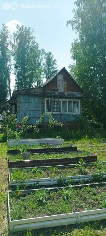 Дом в Красноярский край, городское поселение Емельяново (20 м) - Фото 0