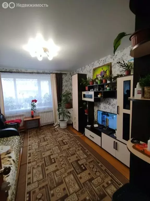 2-комнатная квартира: Наволоки, переулок Карла Маркса, 10 (38 м) - Фото 1