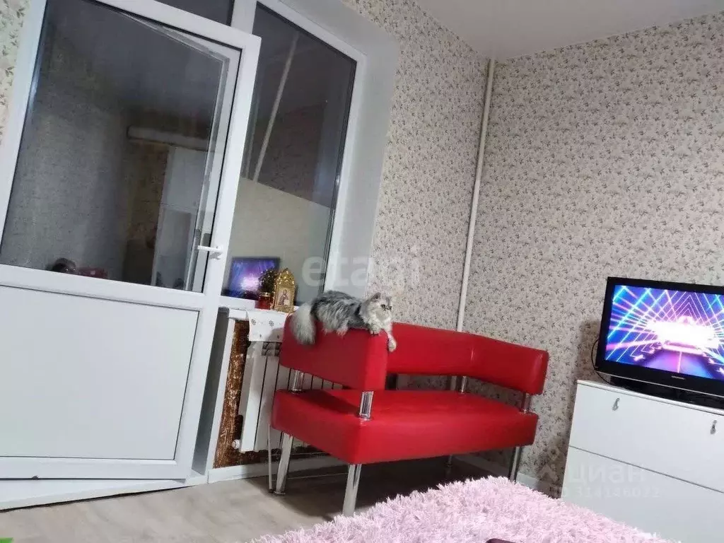 Комната Свердловская область, Екатеринбург ул. Мира, 36 (17.8 м) - Фото 0