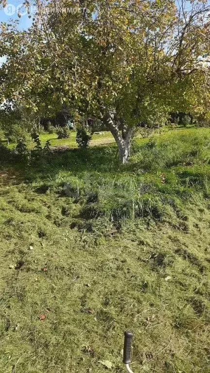 Участок в Пионерский, СНТ Пограничное (3.5 м) - Фото 2