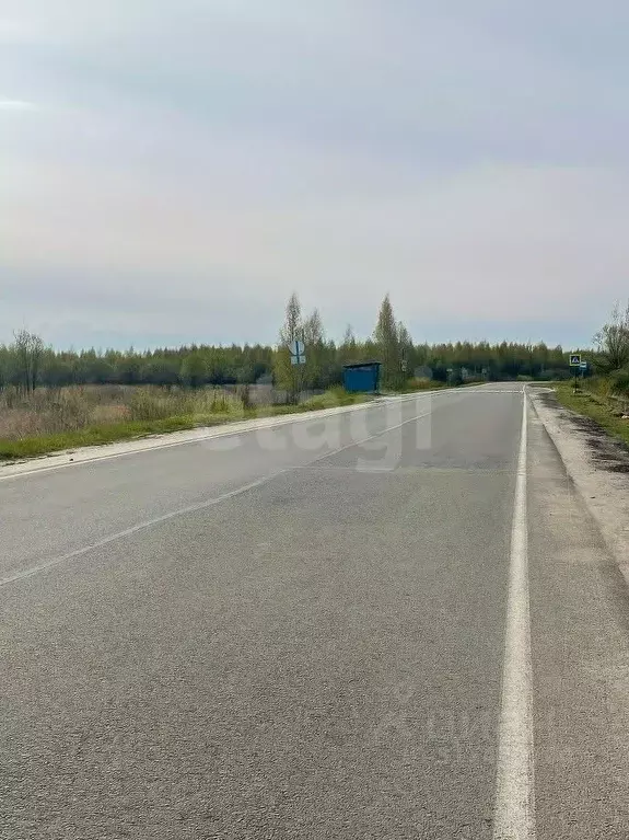 Участок в Ярославская область, Некрасовское рп  (800.0 сот.) - Фото 1