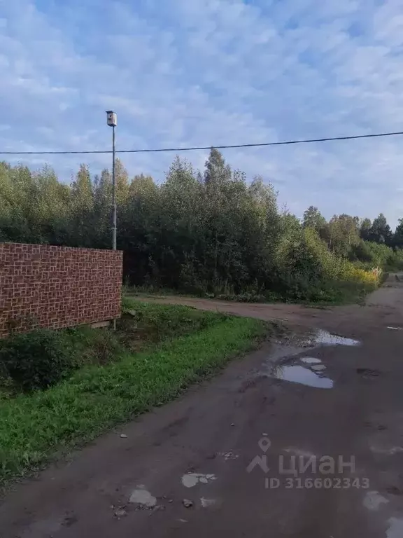 Участок в Ленинградская область, Кировский район, Мгинское городское ... - Фото 1