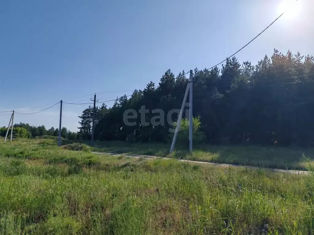 Участок в Воронежская область, Борисоглебский городской округ, с. ... - Фото 0