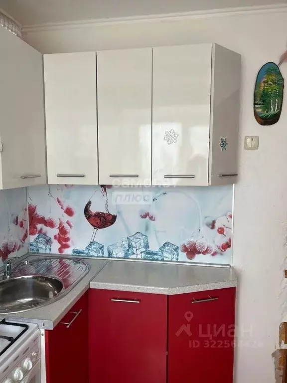 2-к кв. Челябинская область, Южноуральск Московская ул., 22 (46.0 м) - Фото 0