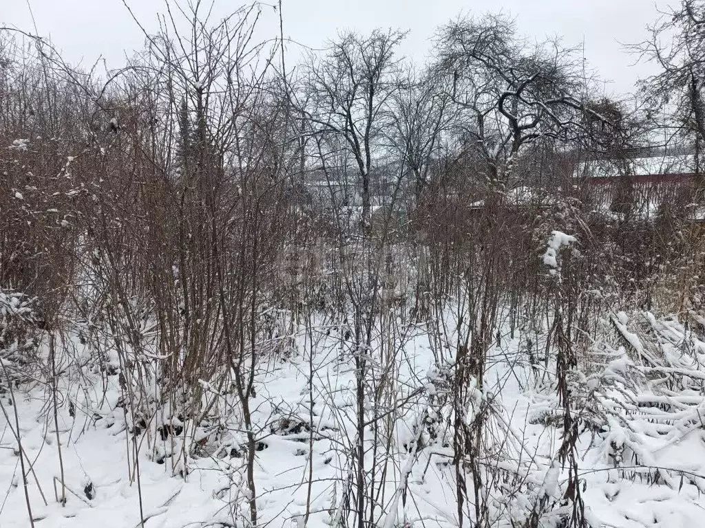 Участок в Нижегородская область, Нижний Новгород СНТ Расцвет - ... - Фото 1