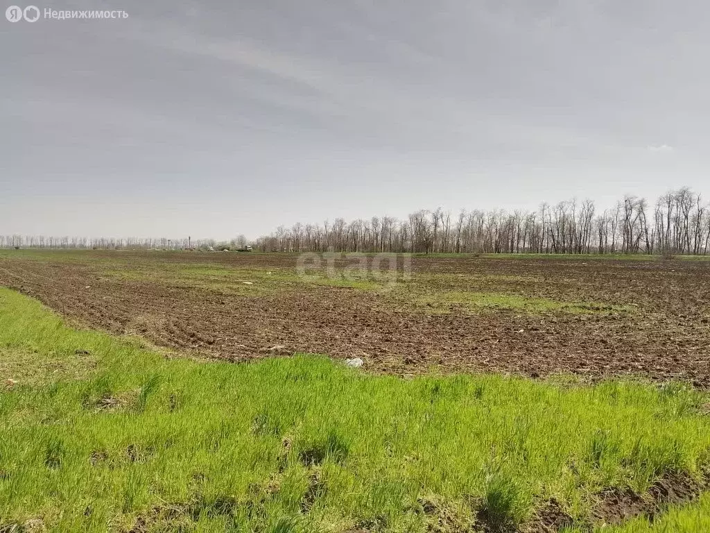 Участок в Краснодар, Центральный внутригородской округ, микрорайон ... - Фото 1