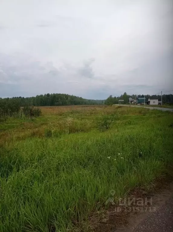 Участок в Брянская область, Брянский район, с. Домашово  (15.0 сот.) - Фото 0