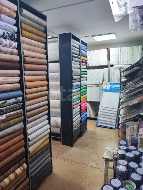 Помещение свободного назначения в Кемеровская область, Таштагол ул. ... - Фото 2