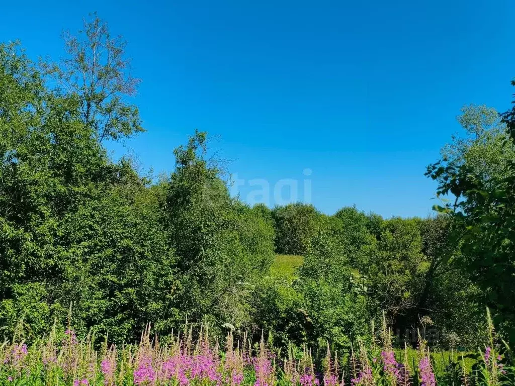 Участок в Вологодская область, Кирилловский муниципальный округ, д. ... - Фото 2