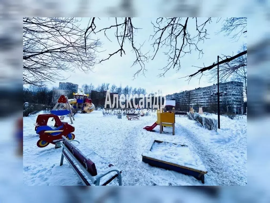 3-к кв. Санкт-Петербург просп. Культуры, 24К1 (74.6 м) - Фото 2