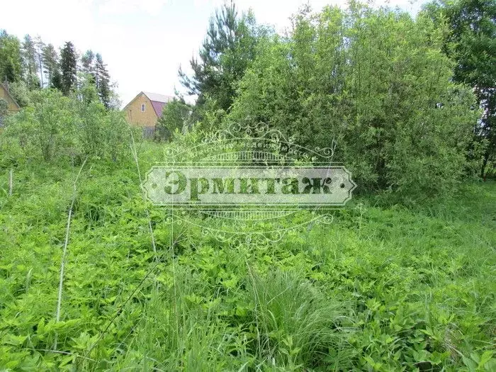 Участок в Курганская область, Шадринск ул. Соболева, 14 (10.0 сот.) - Фото 1