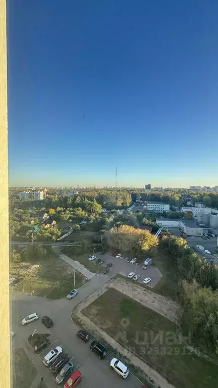 1-к кв. Нижегородская область, Нижний Новгород 2-я Оранжерейная ул., ... - Фото 2