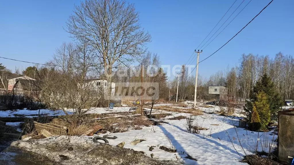 Участок в Ленинградская область, Ломоносовский район, Большая Ижора ... - Фото 1