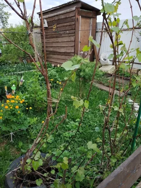 Дом в Марий Эл, Йошкар-Ола Коммунальник СНТ, 19-я линия (65 м) - Фото 1