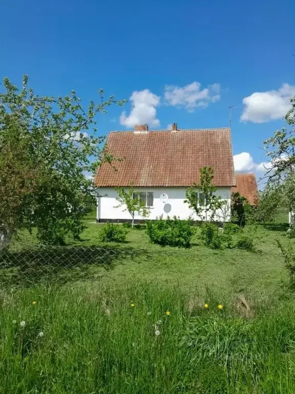 Дом в Калининградская область, Правдинский муниципальный округ, пос. ... - Фото 2