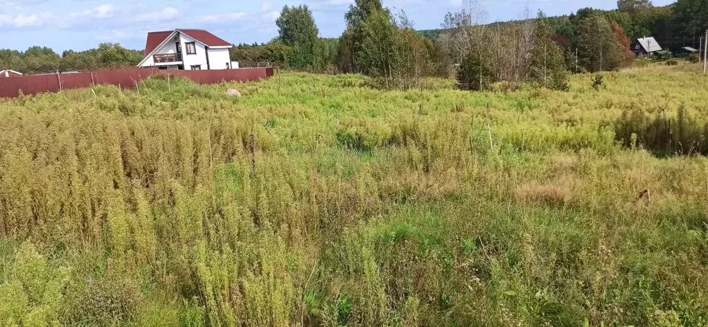 Участок в Ленинградская область, Кингисеппский район, Нежновское ... - Фото 0