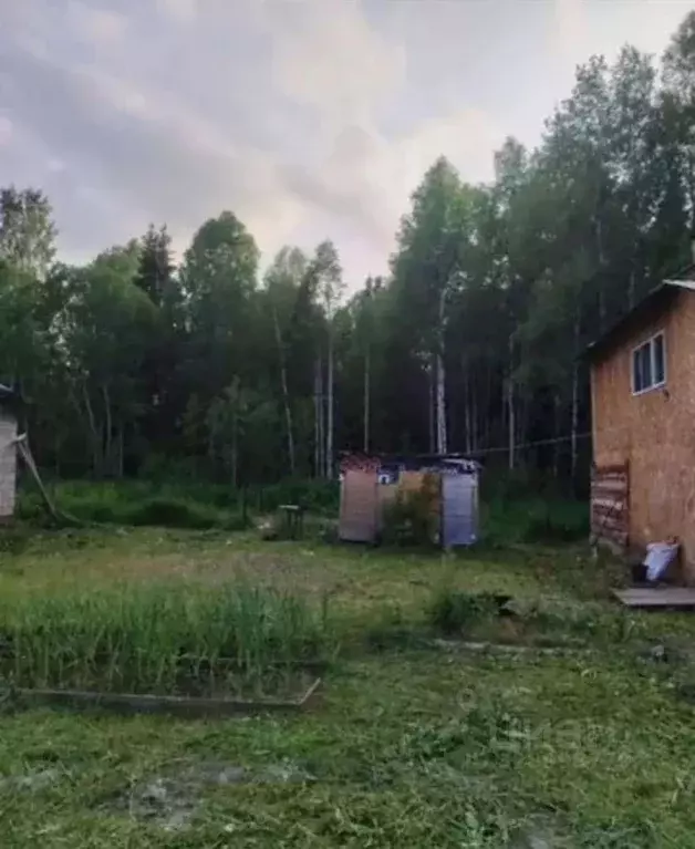 Участок в Пермский край, Краснокамский муниципальный округ, д. ... - Фото 2