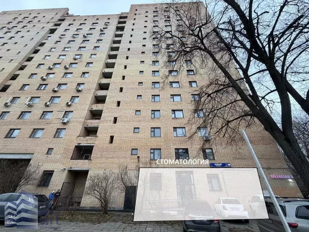 Помещение свободного назначения в Москва Зеленый просп., 48К3 (245 м) - Фото 1