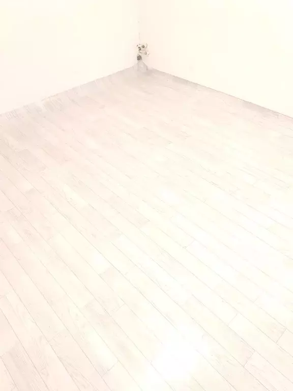 Студия Московская область, Красногорск ул. Игоря Мерлушкина, 10 (20.0 ... - Фото 2