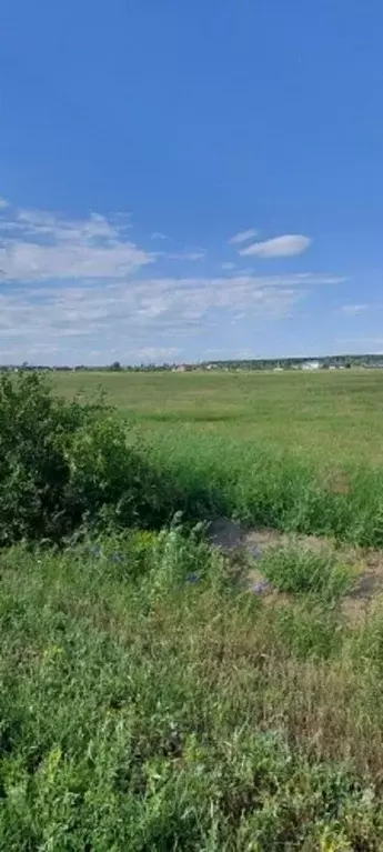 Участок в Саратовская область, Энгельсский район, Красноярское ... - Фото 2