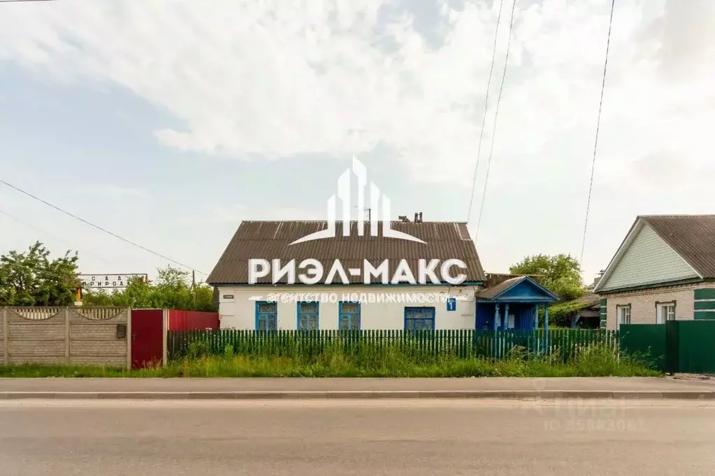 Брянск Купить Дешево