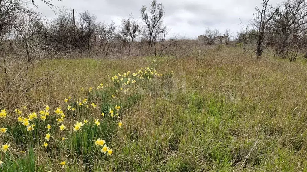 Участок в Крым, Керчь Прогресс СПК, проезд Звездный (6.42 сот.) - Фото 1