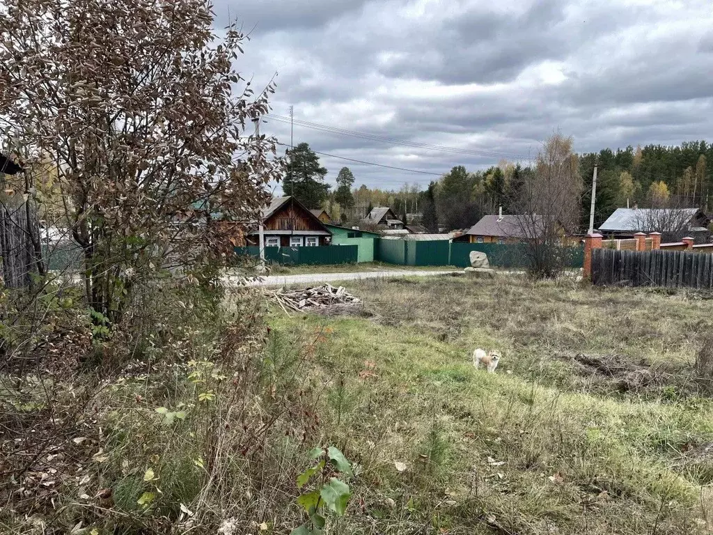 Участок в Свердловская область, Верхняя Пышма городской округ, пос. ... - Фото 2
