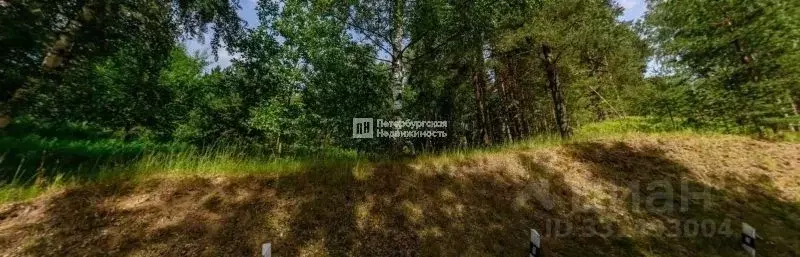 Участок в Ленинградская область, Всеволожский район, Колтушское ... - Фото 1