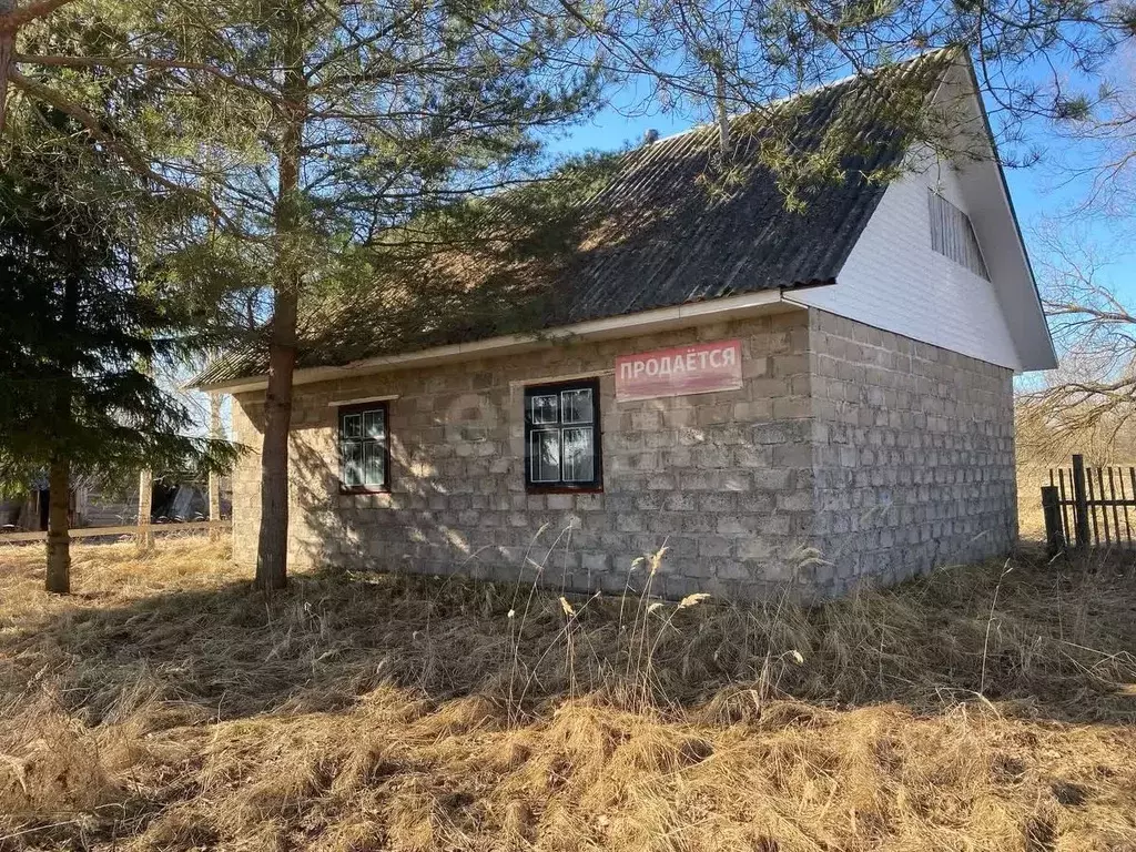 Торговая площадь в Смоленская область, Демидовский муниципальный ... - Фото 1