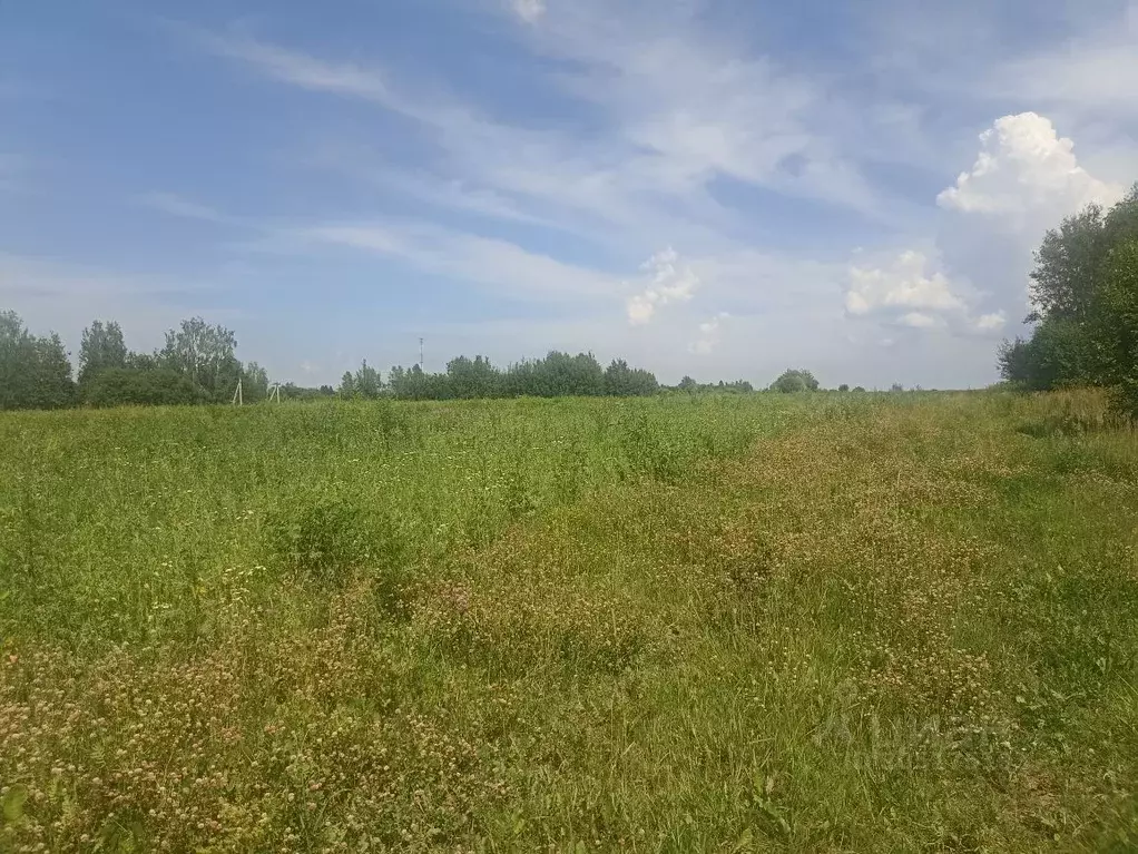 Рогово