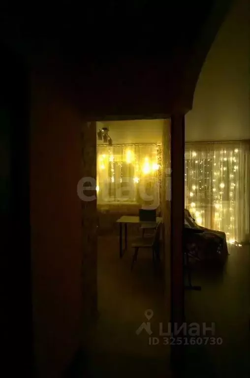 1-к кв. Алтайский край, Барнаул Интернациональная ул., 16 (30.0 м) - Фото 1