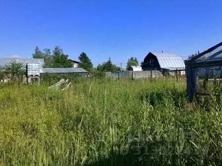 Участок в Ленинградская область, Тосненский район, Форносовское ... - Фото 1