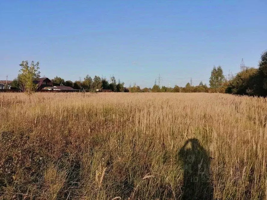 Участок в Московская область, Коломна городской округ, д. Санино пер. ... - Фото 2