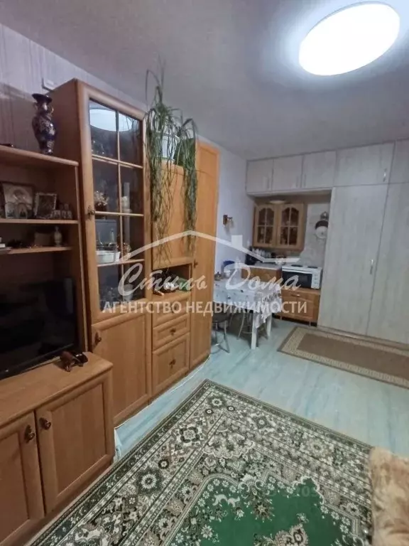 1-к кв. Волгоградская область, Волгоград Шекснинская ул., 22 (34.7 м) - Фото 0