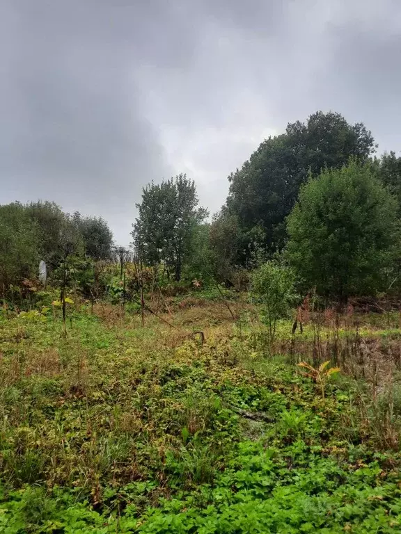 Участок в Псковская область, Печорский муниципальный округ, д. Усадище ... - Фото 1