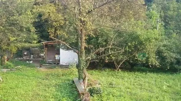 Участок в Краснодарский край, Геленджик городской округ, с. Пшада  ... - Фото 0