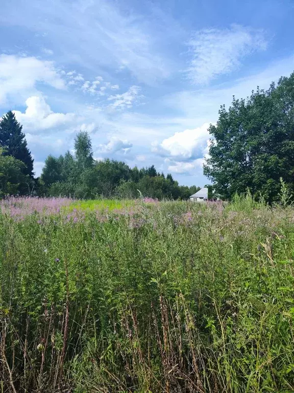 Участок в Московская область, Клин городской округ, д. Трехденево  ... - Фото 1