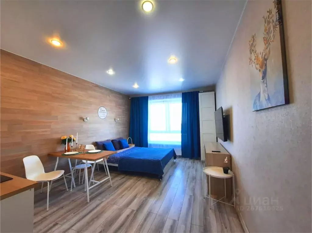 Студия Московская область, Люберцы ул. Летчика Ларюшина, 6к2 (22.4 м) - Фото 2