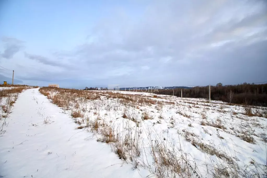 Участок в Кемеровская область, Новокузнецкий муниципальный округ, с. ... - Фото 1