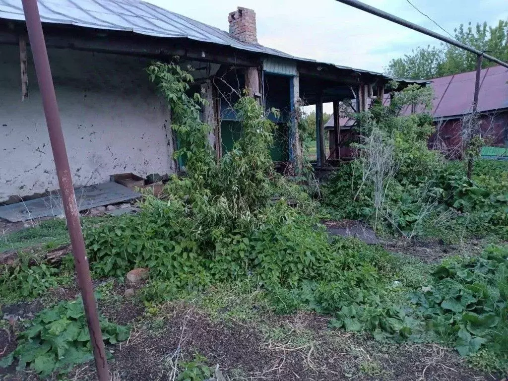 Дом в Саратовская область, Романовский район, Усть-Щербединское ... - Фото 0