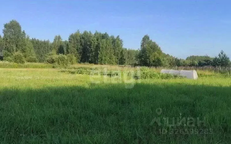 Участок в Ярославская область, Ярославский муниципальный округ, Росток ... - Фото 0